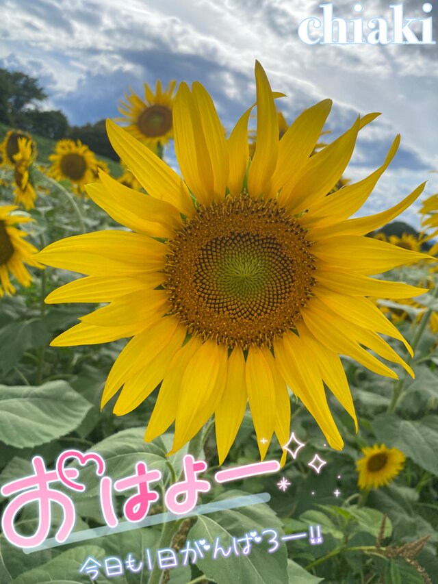 こんにちは✿·͜·ᰔ