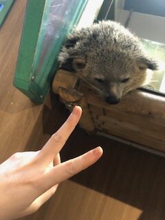 またせたな❣️⊂(  ･ω･ )
