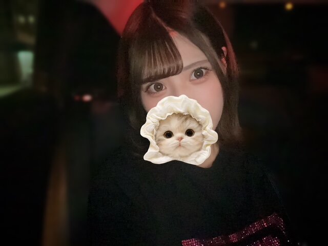 🐰