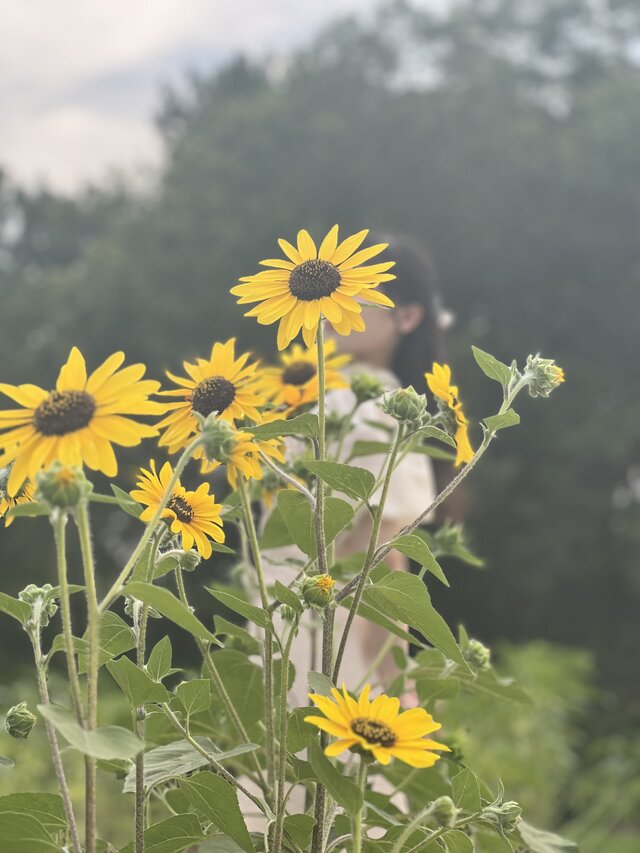 お久しぶりです🙇🏻‍♀️⸒⸒