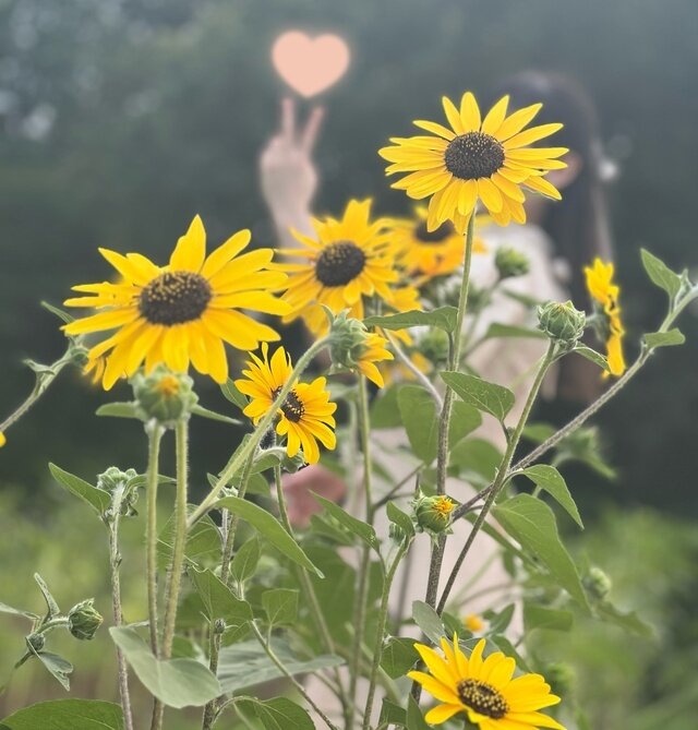 今月も🙇🏻‍♀️⸒⸒