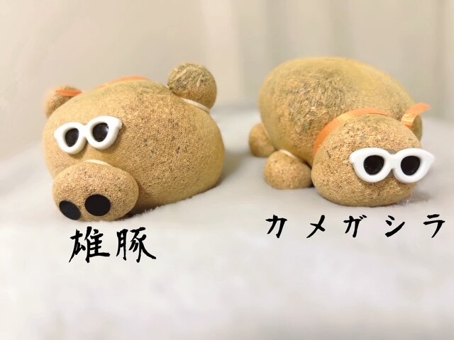 雄豚とカメガシラの成長期　