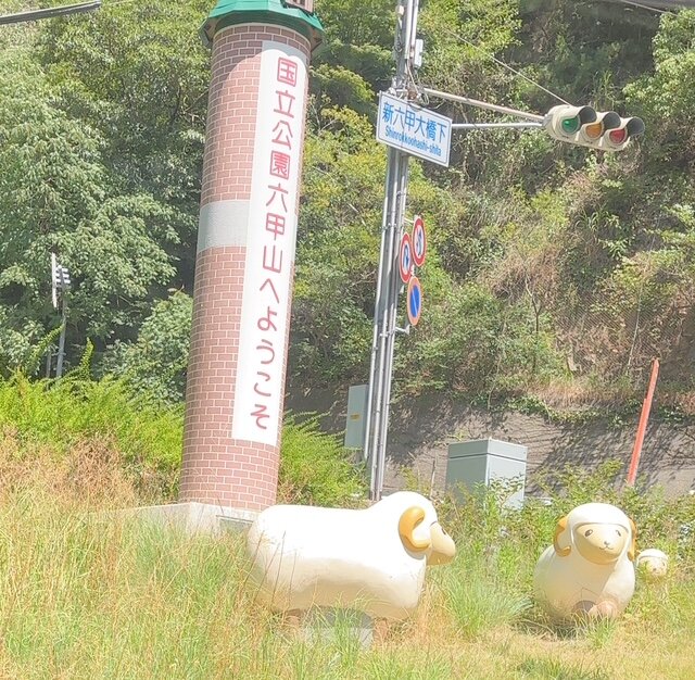 挑戦、ありがとうございまし