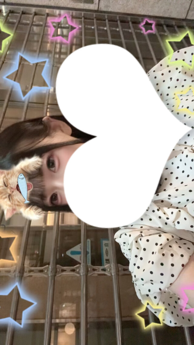 おはよう