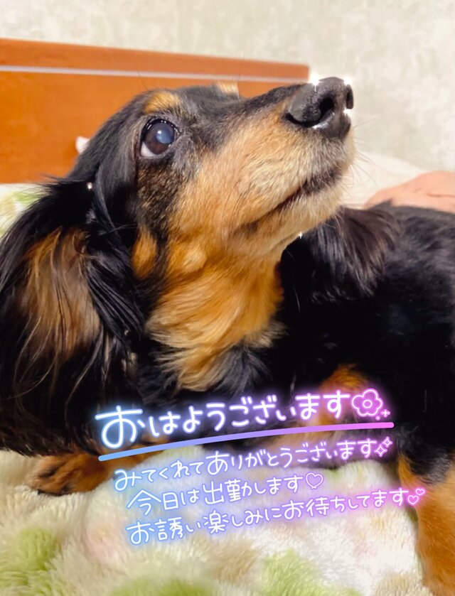 お散歩〜💕