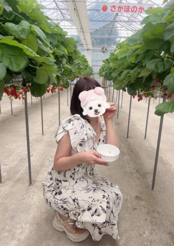 🍓